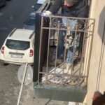 IMG_4039